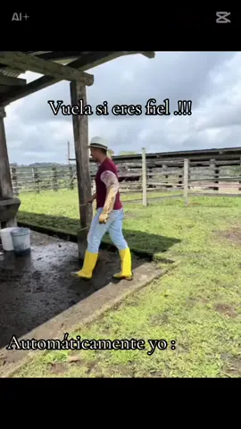#CapCut #IATF #popular #vira #fyppppppppppppppppppppppp #593 #CapCut #Biscoitocut #santodomingoecuador #593ecuador🇪🇨 #amorequino🐴🐎🐎❤️ 