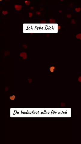 Ich liebe Dich  #zitate #fyp #fyyyyyyyyyyyyyyyy #fyviral  #black🖤lion🖤heart 