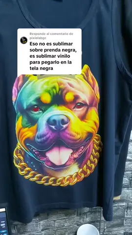 Respuesta a @pixielabgc 