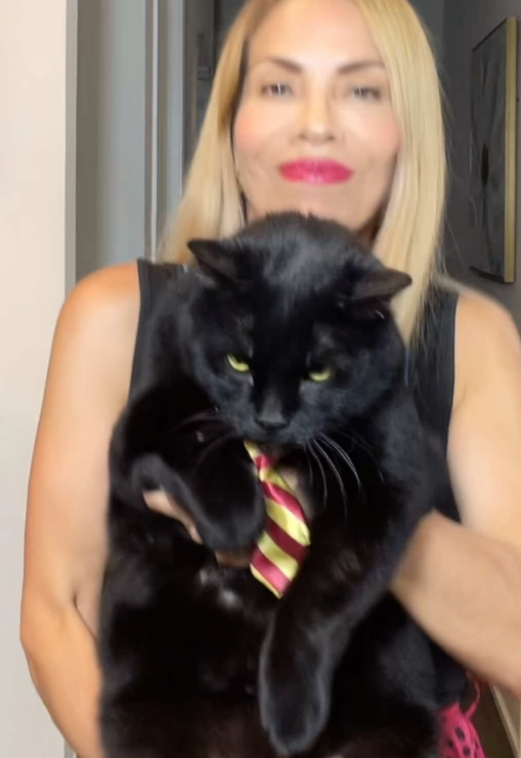 Bailando con mis 3 hijos elegantes: Mushko, Angie y Smokey#catlover#catdancer#trend #gatobailarin#funnycat