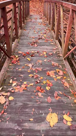 🍂🍂 #autumn #fall 