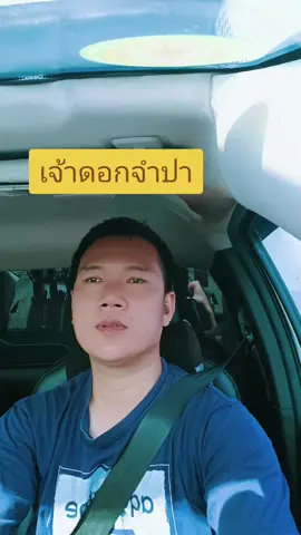 #ลิฟซิ้งเพื่อความบันเทิง #ลิ๊ฟซิ้งเพลงที่ชอบ #เจ้าดอกจำปา