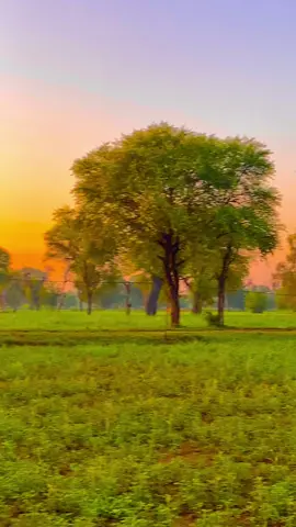 #pindawale #پنڈاں_والے #ساڈا_پنجاب #foryou #1millionviews 