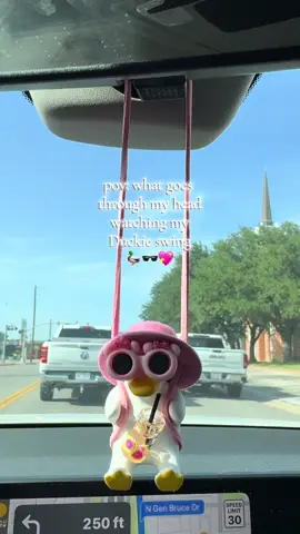 How can you not love this😍 #caraccessories #carsoftiktok #duck 