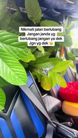 Asal ada angkut aja truss cocok harga gass##travel Banjarmasin->kotabaru##amat gambut