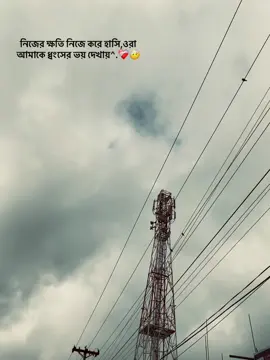 নিজের ক্ষতি নিজে করে হাসি,ওরা  আমাকে ধ্বংসের ভয় দেখায়^.❤️‍🩹🤕 #foryou #_iamsrabon_ #viral 