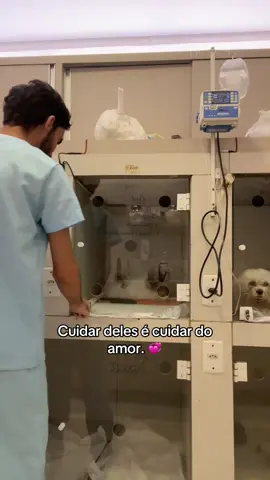 Sim! ❤️‍🩹🙏🏻 #amor #medvet #foryou #viral #fypシ゚viral 