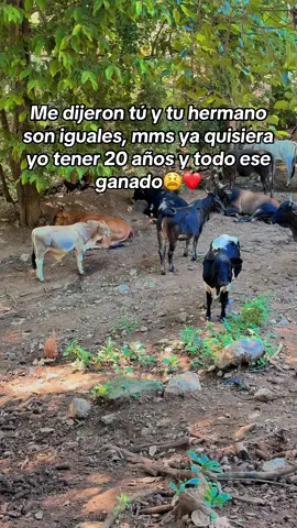 Ese morriyo ta prro❤️#videoviral #contenido #fypage #parati 