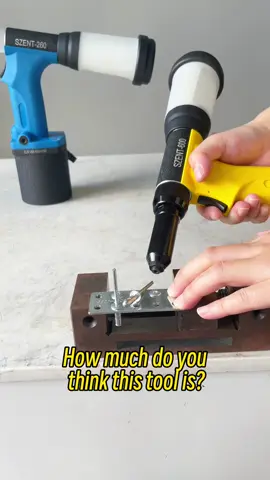 How much do you think this tool is? #fyp #SZENT-600  #riveter #airtool  #ladder
