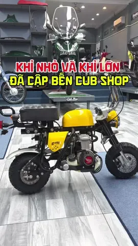 Monkey Mini và Monkey Chrome Đâu Là Siêu Phẩm? #cubshop #monkeymini #monkeychrome #monkeychrome125legacy #monkeyimu 