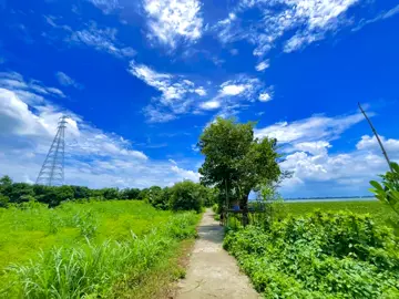 জীবন এক অদ্ভুত পথচলা,যেখানে প্রতিটি মোড়েই নতুন কিছু অপেক্ষা ❤️‍🩹☺️#foryou #foryoupage #vairal #unfrezzmyaccount #foryoupageofficiall 