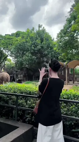 Quay em nhưng cameraman lấy nét bạn voi🤣