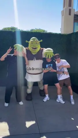 4 ogres, 1 video??? #fyp #foryou #xyzbca #shrek #universalstudios 