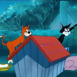 #fyp #cartoon #tomandjerry 
