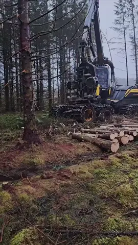 _1_000_000 Machine vs Trees 🌲💥 (_planetamaszyn on TikTok#fact #usa🇺🇸 