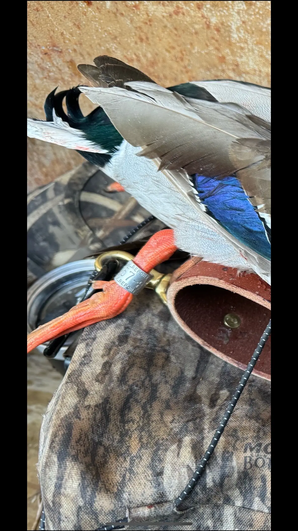 #drakewaterfowl #fowlerhidesupply #drakefieldexpert #gunnerpackleader                    #mallards @GUNNER @Mossy Oak @bassproshops @FowlerHideSupply @Ducks Unlimited @Dakota Decoy Company @Dive Bomb Industries @Lite Boots 