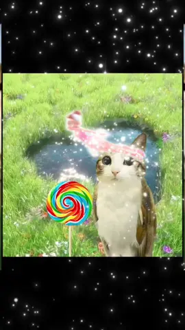 meowl #meowl #gato #fyypppppppppp #queso #fyñシ 