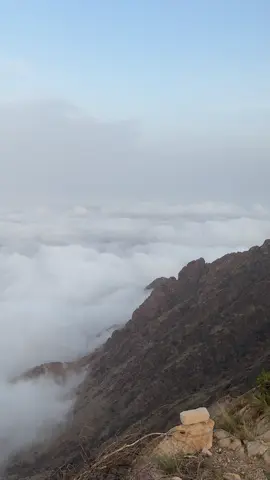 #ميسان #بني_الحارث #explore #اكسبلور 