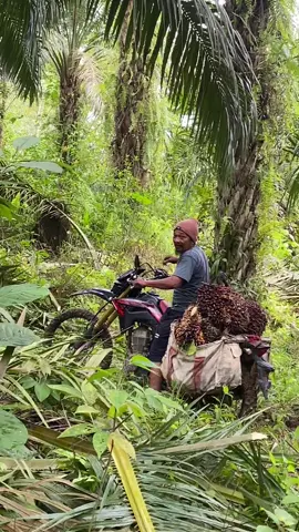 crf jalur yg bener🤣#fyp #crf150l #kebunsawit #surex #supermoto 