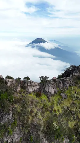 AHHH BANGGA SAMA DIRI SENDIRI YANG SUDAH BERANI MEMULAI HAL BARU LAGI. Btw, ini gunung ketiga yang aku berani terbangi drone.  Saya Meiza Mahendra, selamat datang di GN Sumbing. #gunungsumbing #sumbingmountain #sumbingviagajahmungkur #pendakigunung #