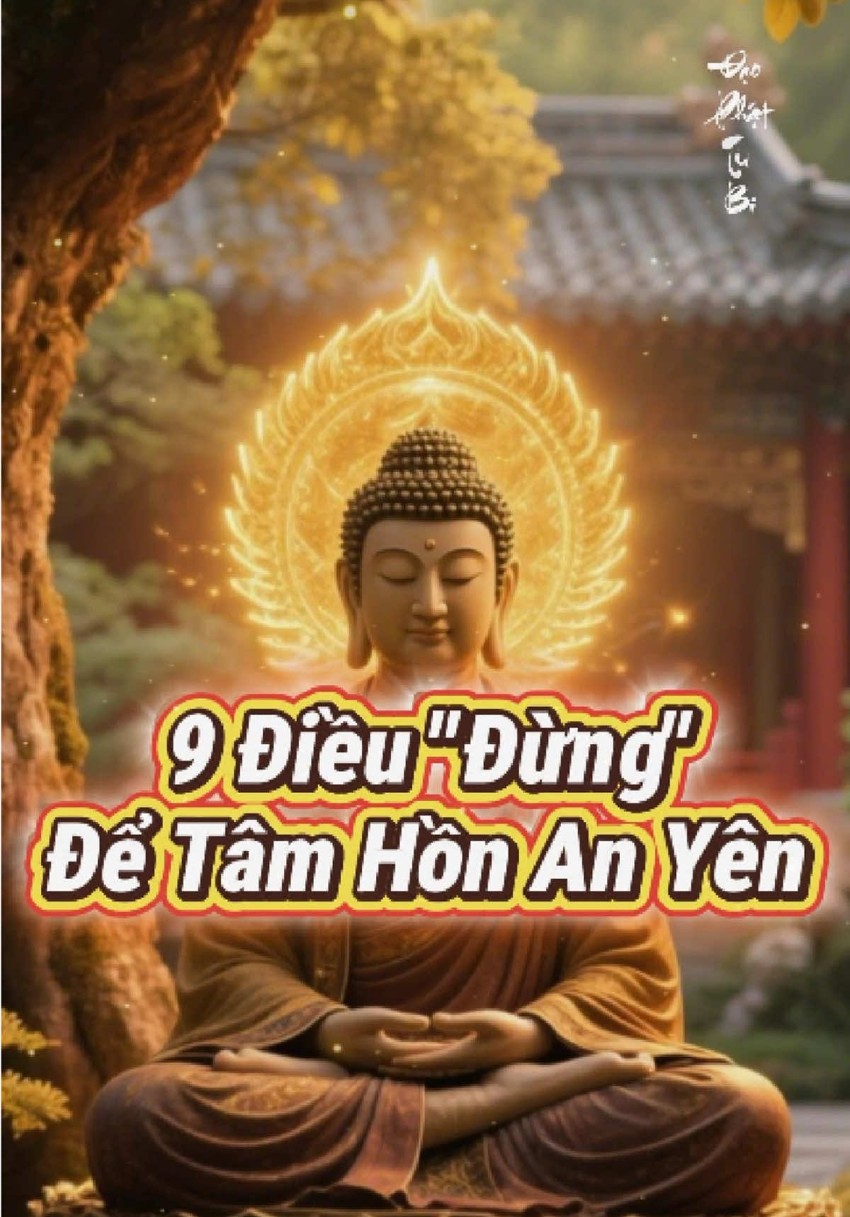 9 Điều “ĐỪNG”, để tâm hồn an yên. #phatphapnhiemmau #phatphap #adidaphat #giacngo #buongbo 