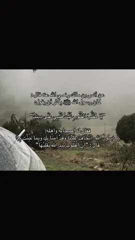 #foryou #اكسبلور #fyp 