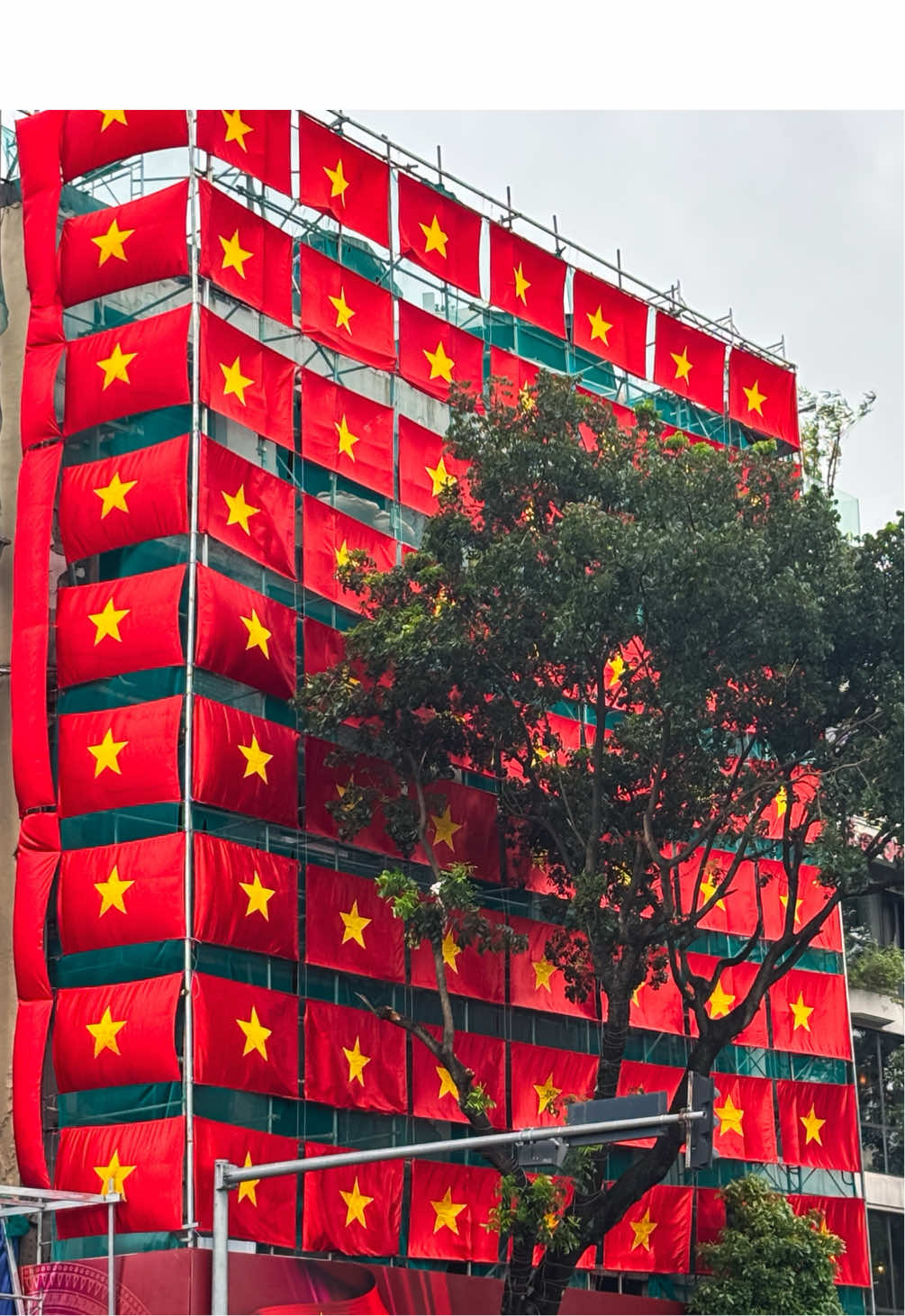 Việt Nam có trăm triệu lá cờ, còn tôi chính là một ngọn cờ 🇻🇳 ———— #hanoi #vietnam #quockhanh 
