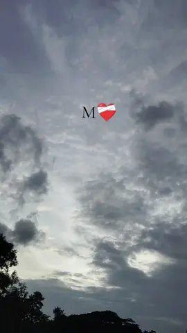 hum 🙂❤️‍🩹 #viraltiktok #tiktok #foryou #viral #viraltiktok 