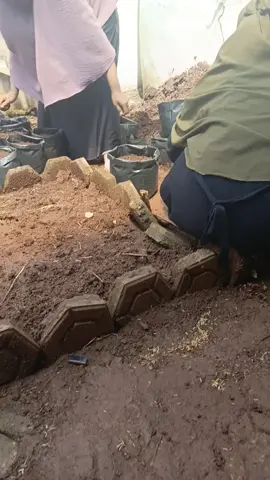 mulai LG persiapan tanam di kebun kwt DS buniasih