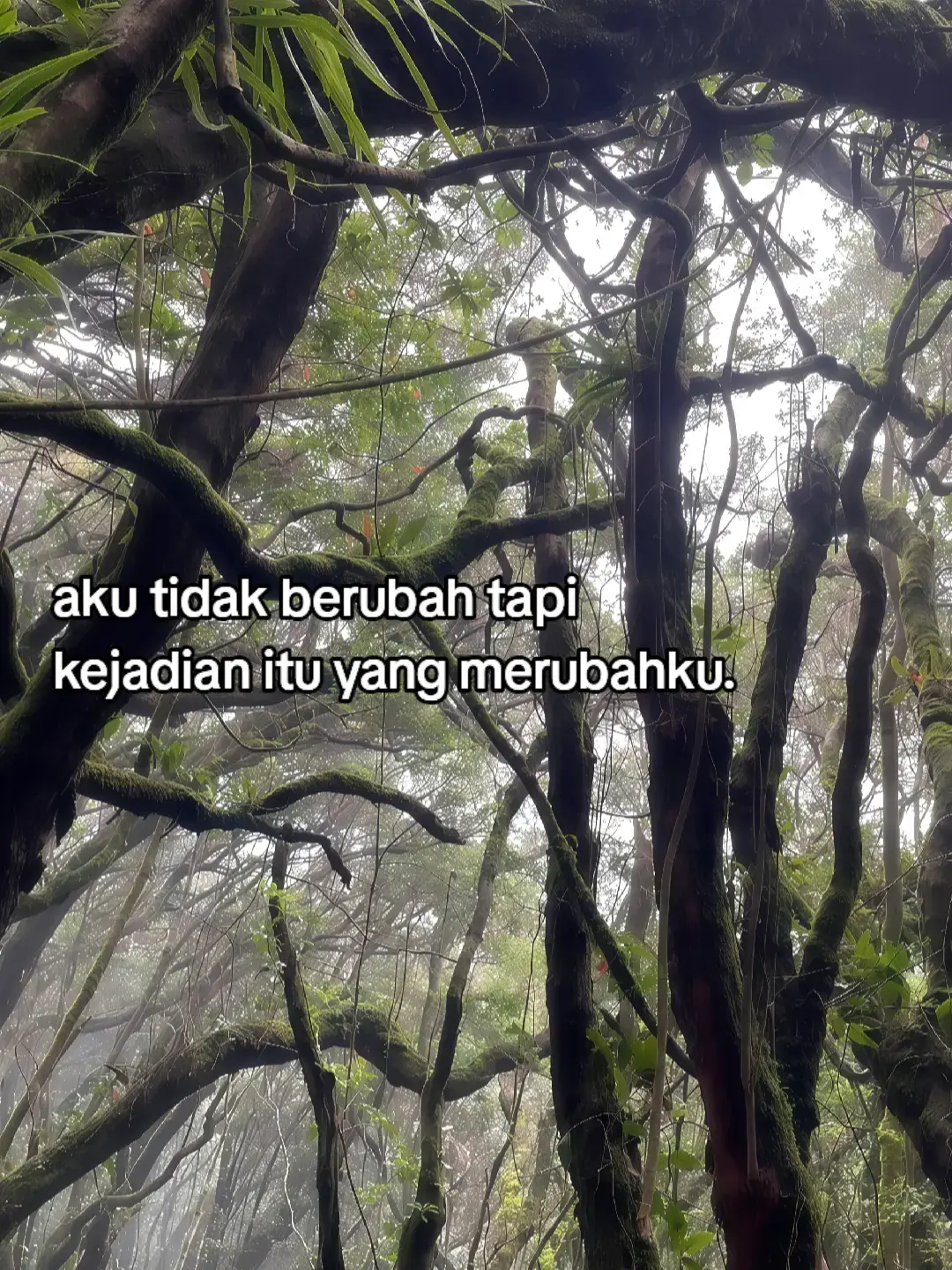 ... 📝Bahan-bahan: - 1 cangkir kacang panjang, potong-potong - 1 cangkir tauge, cuci bersih - 1 cangkir kol, iris tipis - 1 cangkir kentang rebus, potong-potong - 1/2 cangkir tahu goreng, potong-potong - 1/2 cangkir tempe goreng, potong-potong - 2 siung bawang putih, cincang - 2 sendok makan kacang tanah goreng, haluskan - 2 sendok makan gula merah, sisir - 1 sendok makan kecap manis - 1/2 sendok teh garam - 1/4 sendok teh merica bubuk - 2 sendok makan air asam jawa - Bawang goreng, untuk taburan Cara membuat: 1. Siapkan sayuran: Cuci bersih semua sayuran dan potong-potong sesuai selera. 2. Goreng tahu dan tempe: Goreng tahu dan tempe hingga matang, potong-potong. 3. Buat bumbu kacang: Haluskan kacang tanah goreng, gula merah, garam, dan merica bubuk. 4. Tambahkan kecap manis dan air asam jawa: Tambahkan kecap manis dan air asam jawa ke dalam bumbu kacang, aduk rata. 5. Siram sayuran dengan bumbu kacang: Siram sayuran dengan bumbu kacang, aduk rata. 6. Tambahkan tahu dan tempe: Tambahkan tahu dan tempe goreng ke dalam gado-gado, aduk rata. 7. Taburi dengan bawang goreng:Taburi gado-gado dengan bawang goreng. Tips: - Gunakan sayuran yang segar untuk hasil yang lebih baik. - Sesuaikan jumlah bumbu kacang dengan selera Anda. - Gado-gado dapat disajikan sebagai makanan utama atau sebagai camilan. Selamat mencoba!! #fyppppp #foryoupage #masukberandafyp 