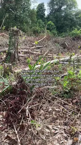 bismillah🤲 #perintis #petanimuda #perintismuda #lahansawit 