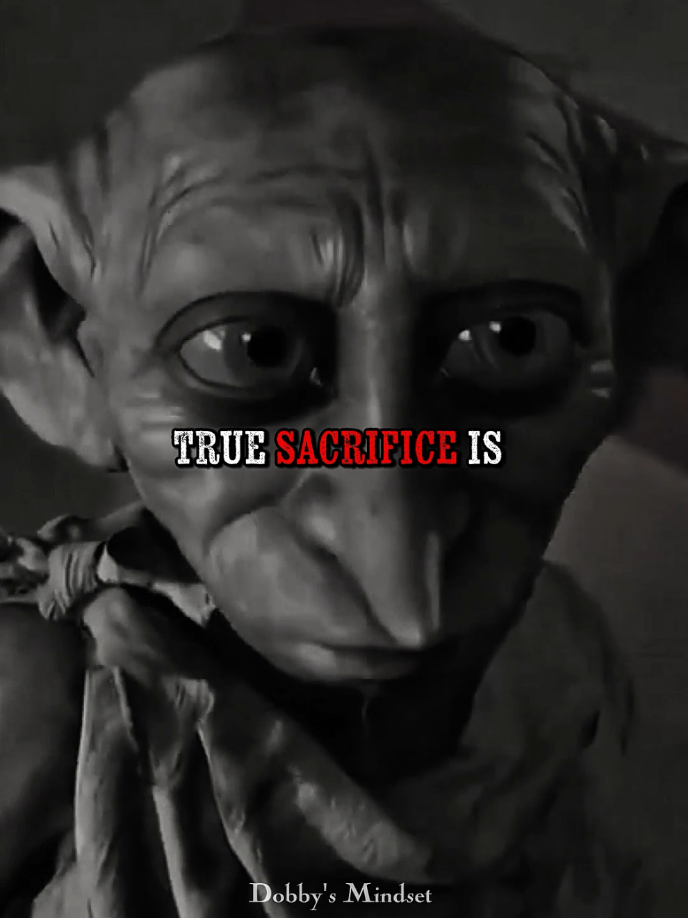 True Sacrifice! #dobbyherrypotter #dobbymindset #motivational #quotes #advice 