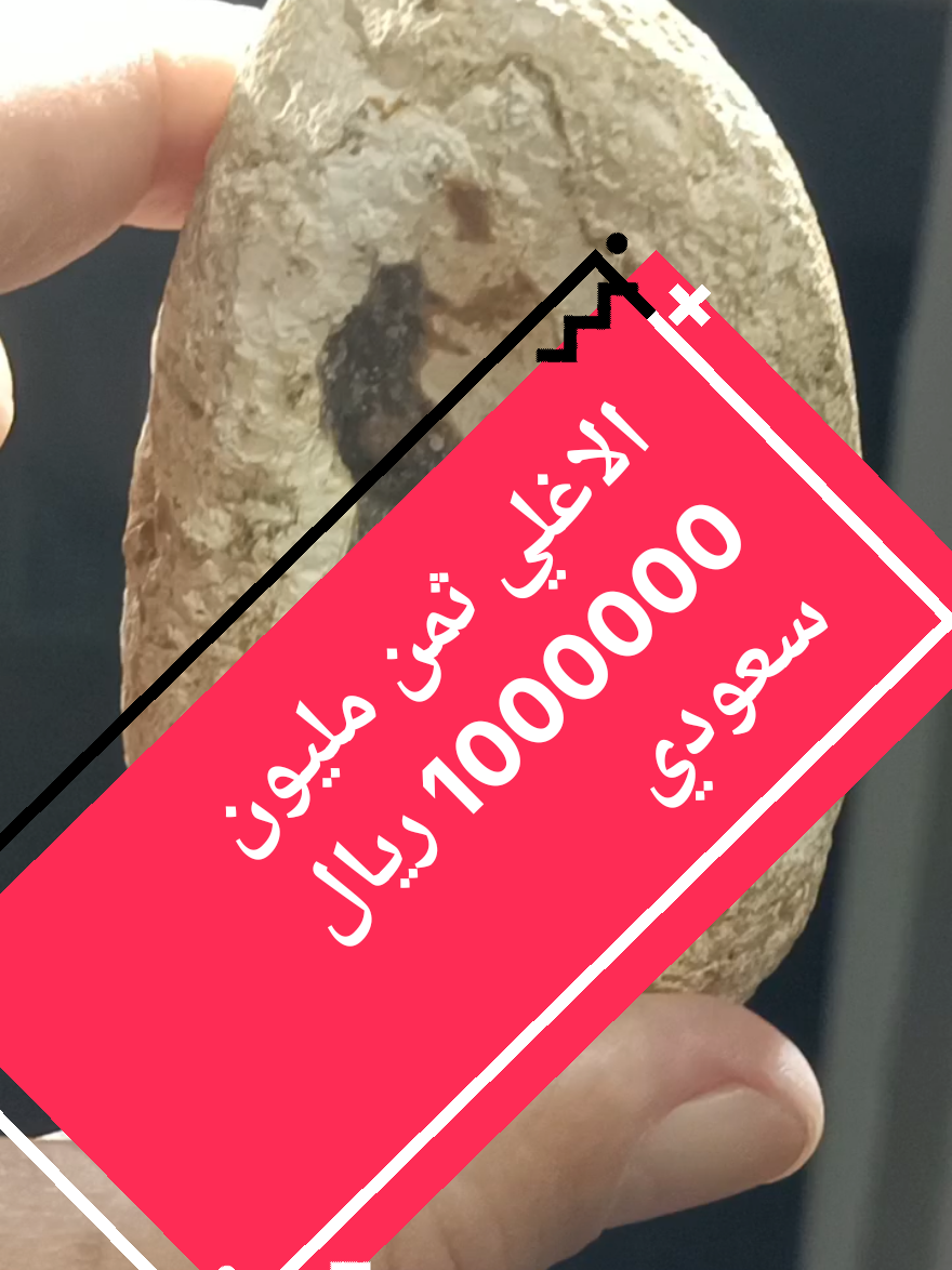 حجر ثمين والقيمة في ما هو داخل الحجر بداخله أندر أنواع العقيق وهو العقيق العسلي النادر الذي يبحث عنه جميع المهتمين بالاحجار الكريمة #وحش_الاحجار_النادرة #trending #viral #duet #tiktok 