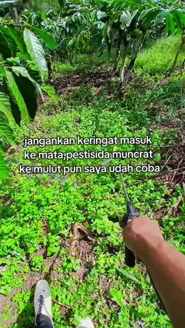 #fyp #petanikopi #petanimuda 