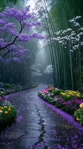 Mùa thu trong mưa
