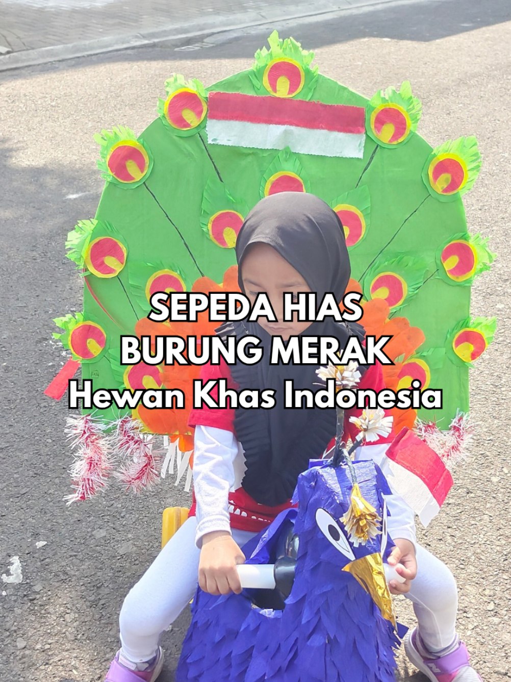 Sepeda Hias 2 tahun lalu Paling gampang buatnya.. Gak ribet Tinggal bikin pola untuk badan Paruh tinggal gulung membentuk kerucut Kertas Crepe dipotong model segitiga #sepedahias #lomba17agustus #idemainanak #kardus 