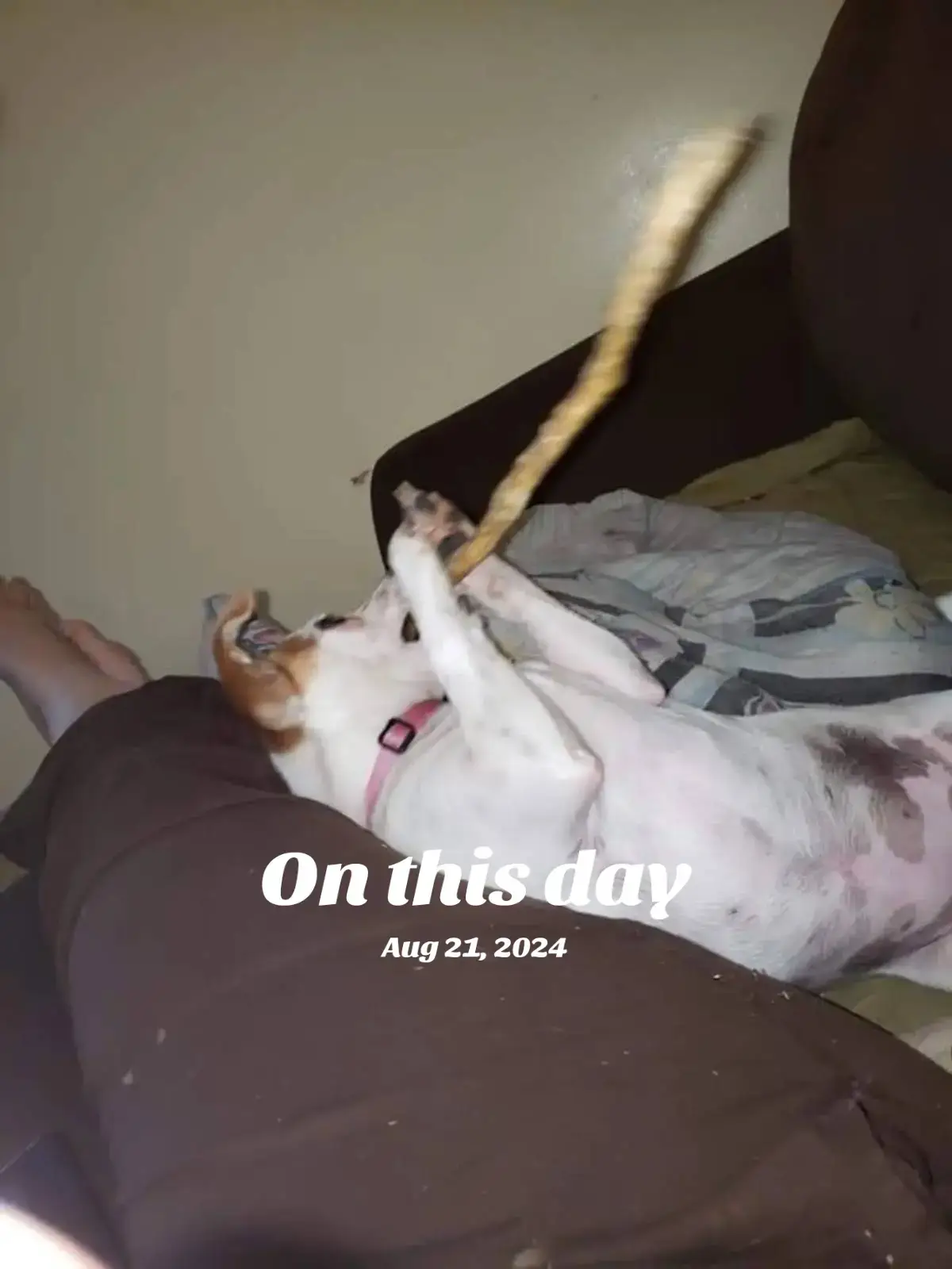 #onthisday