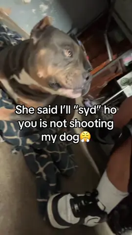 😡 #fypシ #trending #viral #son #dog 