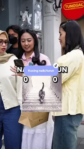 Menurut kalian kucing ini lagi naik atau turun?? #kasihbunga #challengebunga #socialexperiment #kasihbungarandom 