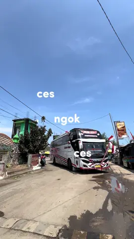 Ces ces cess🤙🤙@SEKAR-STYLE.08 @bimafdpmks._  #fyp #foryou #trendtiktok #foryoupage #fypシ゚viral 