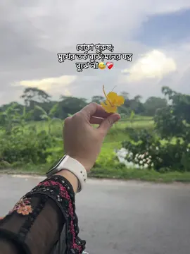 ❤️‍🩹❤️‍🩹#foryoupage #foryoupageofficiall #copylink #fypage @TikTok 