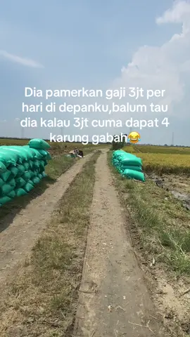 Itungen dewe 350 karung🫠#lewatberanda #fypage #gabahbalap🌾 #4u #petaniindonesia🇮🇩🇮🇩🇮🇩🌿🌿 