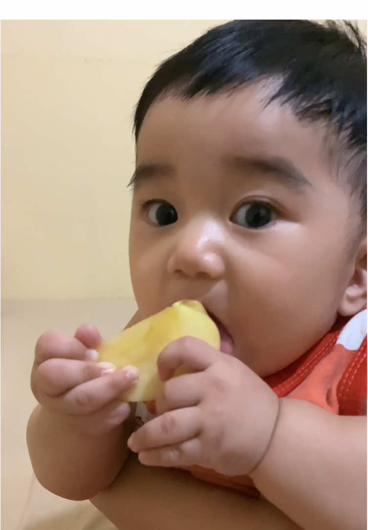 Makan apol 🍎 #masyaallahtabarakkallah #allahummabarik #baby 