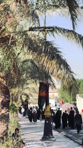 الان النجف الاشرف #صعدو_الفيديو #تصويري📷 #النجف 