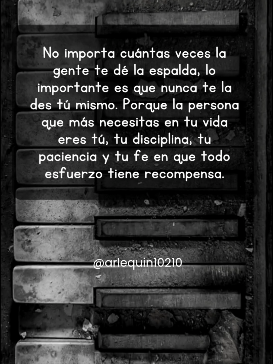 #23deagosto #frasesconvideos #videosdiarios #fyp #sabado 