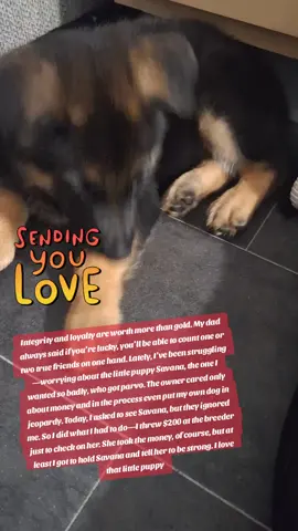 Turn The Page #Love #parvo #dog #dogmom #foryoupage 