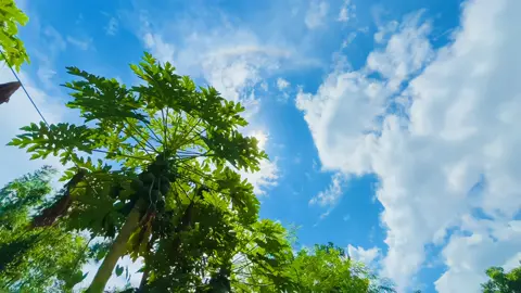 ❤️ #tiktok #furyou #প্রাকৃতিক_সুন্দর্য #প্রাকৃতিক #unfrezzmyaccount 