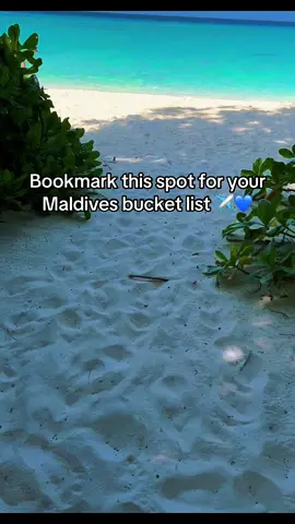 6 seconds of Maldives paradise 🌴✨ Crystal blue water, sandbar vibes, and a view you’ll never forget 🌊 Would you add this to your bucket list? 👇 #Maldives #MaldivesTravel #Sandbar #TropicalParadise #OceanViews      