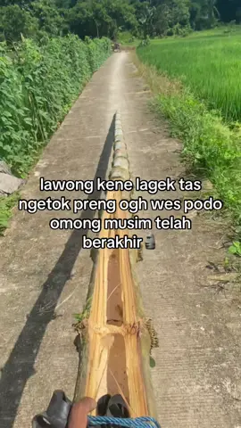 Ning yo pantese ra enek angin gawe enek angin tarek🥱#pelayangantimusiman #sowanganindonesia #pelayangkaltim 