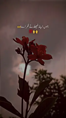 مینوں اپنے فیصلے تے فخراے!کیونکہ میرا فیصلہ والدین کردے نے#🌹🔥❤️foryoupage #varilvarl #🥰 